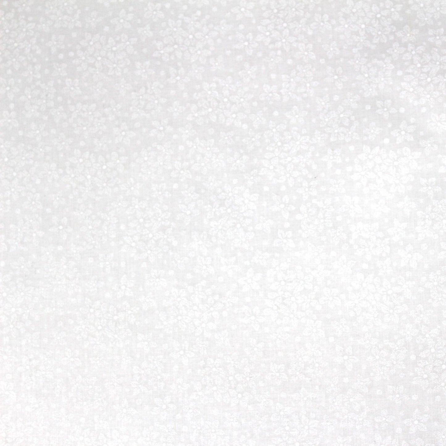 108" Wide Robert Kaufman Floral Backing Fabric - White with Daisy Print