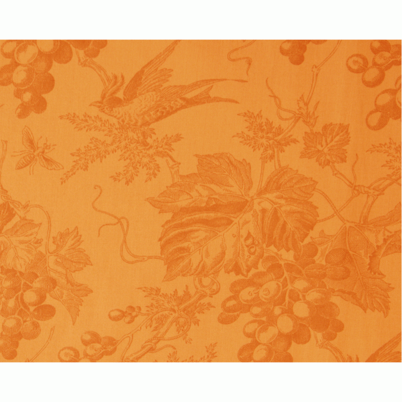 Vin du Jour Grape Vine Backing Fabric - Bees & Birds Design