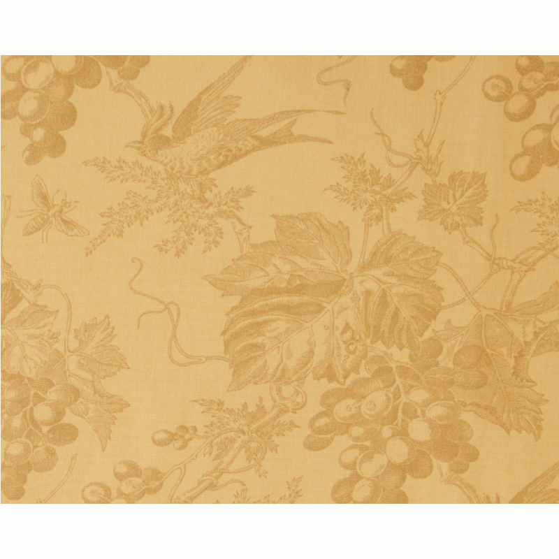 Vin du Jour Backing Fabric by Moda - Cream Grape Vine Pattern