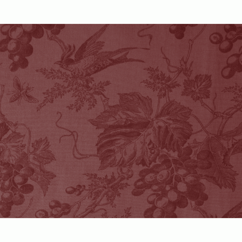 Vin du Jour - Plum Grape Vine Backing Fabric by Moda