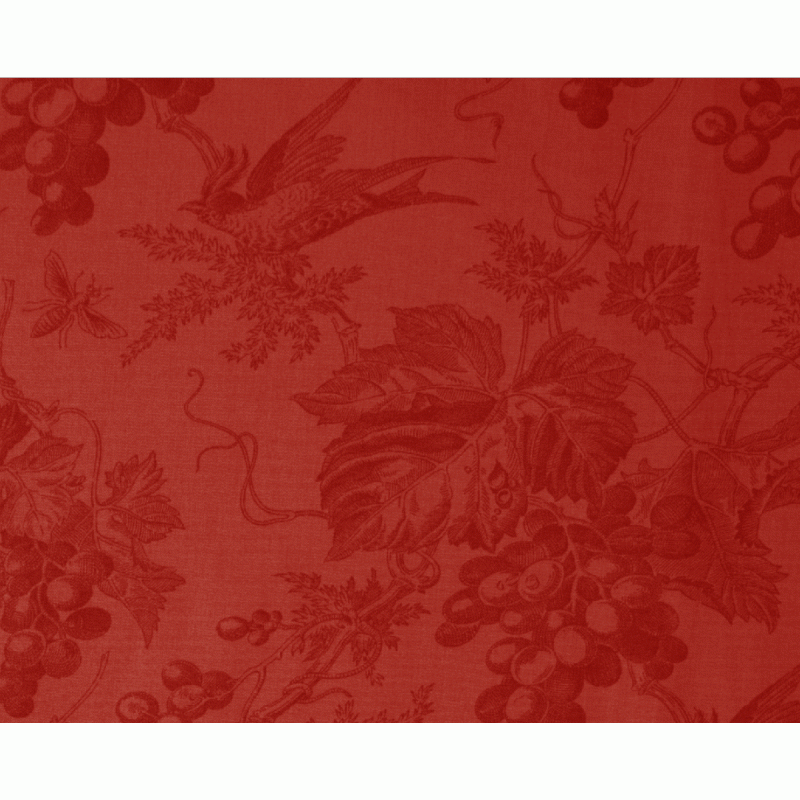 Vin du Jour - Grape Vine Backing Fabric in Red by Moda