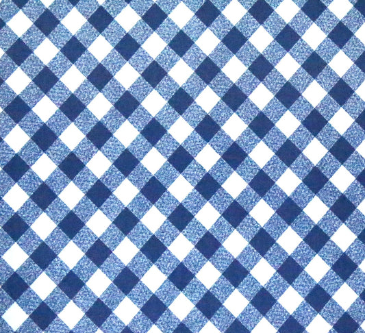 Moda Vintage Picnic Bonnie and Camille 108” wide Blue
