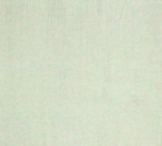 Moda Grunge, light cream 108"wide